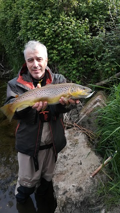 Brown trout prise au lancer